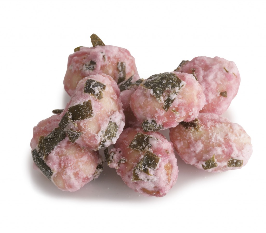 161207_桜のつほみ